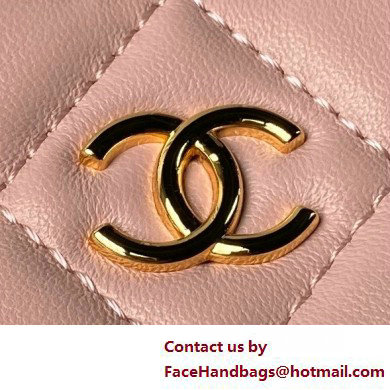 Chanel Shiny Crumpled Calfskin, Resin  &  Gold-Tone Metal Clutch with Chain Bag AP3786 Pink 2025